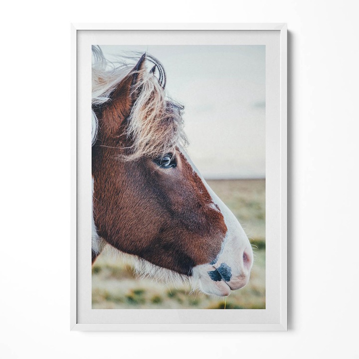 Tablou Inramat, Wallfluent, Prim-plan al unui cal maro cu coama, Rama alba, 70x100 cm, 010330010150100281130