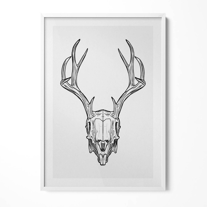 Tablou Inramat, Wallfluent, Craniu de cerb cu coarne schita, Rama alba, 70x100 cm, 010330010150100281287