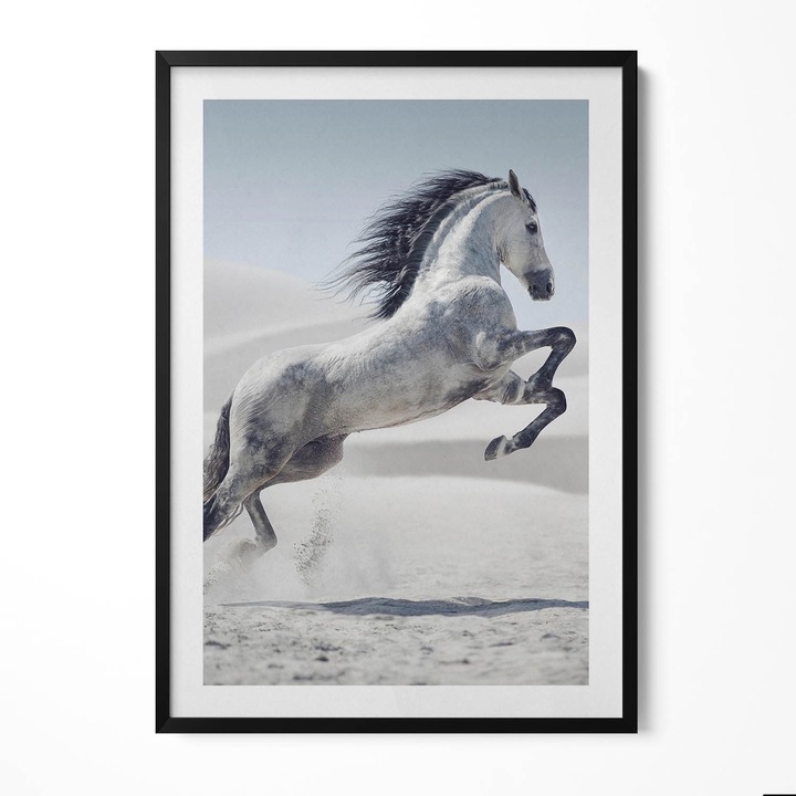Tablou Inramat, Wallfluent, Cal alb in galop, Rama negru, 70x100 cm, 010330010150200280232