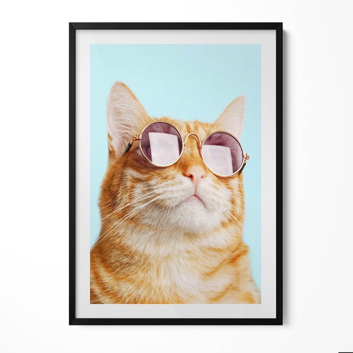 Tablou Inramat, Wallfluent, Pisica amuzanta cu ochelari, Rama negru, 70x100 cm, 010330010150200280227