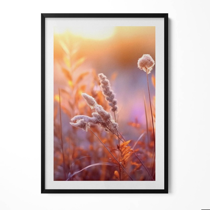 Tablou Inramat, Wallfluent, Boho iarba la rasarit, Rama negru, 70x100 cm, 010330010150200281014
