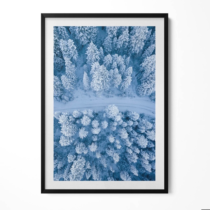 Tablou Inramat, Wallfluent, Padure din vedere de pasare, Rama negru, 70x100 cm, 010330010150200280543