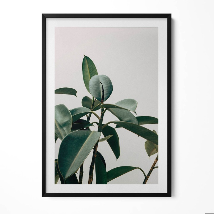 Tablou Inramat, Wallfluent, Stil minimalist cu plante verzi, Rama negru, 70x100 cm, 010330010150200281031