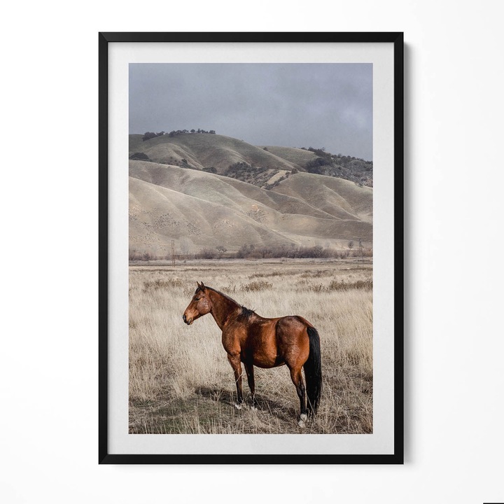 Tablou Inramat, Wallfluent, Cal de calarie printre iarba, Rama negru, 70x100 cm, 010330010150200280499