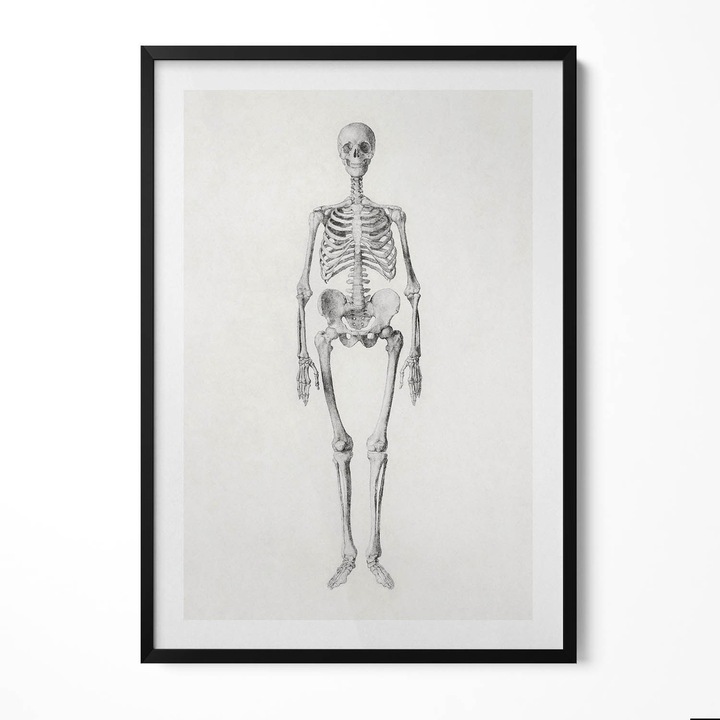 Tablou Inramat, Wallfluent, Ilustratie schita a unui schelet, Rama negru, 70x100 cm, 010330010150200281158