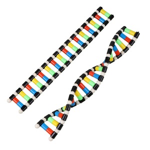 Fejlesztő és oktató játékok