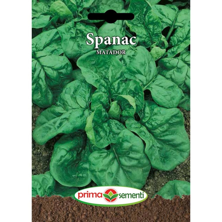 Seminte spanac Matador, 20 gr, Prima Sementi