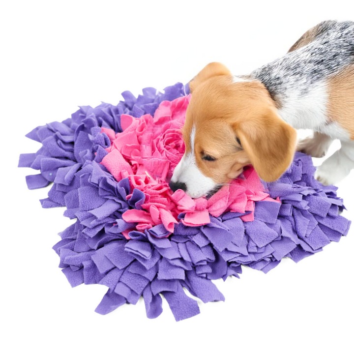 Covoras de miros pentru caini si pisici – jucarie educativa care sustine dezvoltarea si simturile