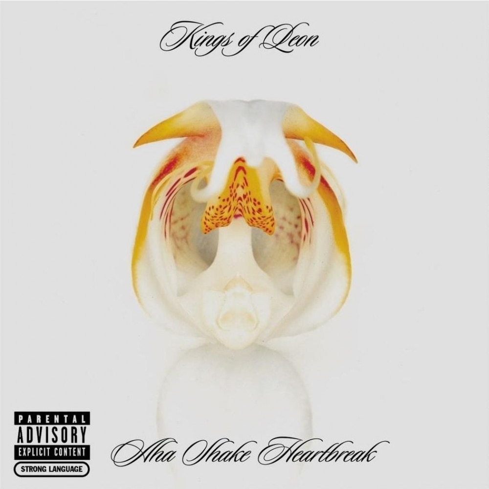 Kings Of Leon-Aha Shake Heartbreak (180g Audiophile Pressing)-2LP