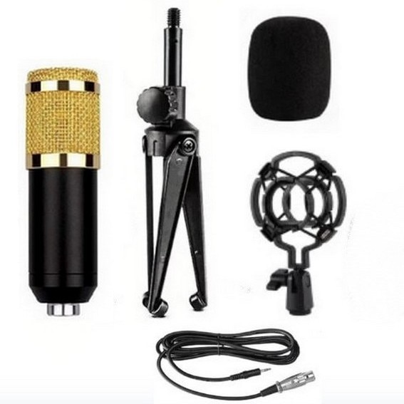 Microfon profesional de studio cu conexiune XLR, Blue Microphones