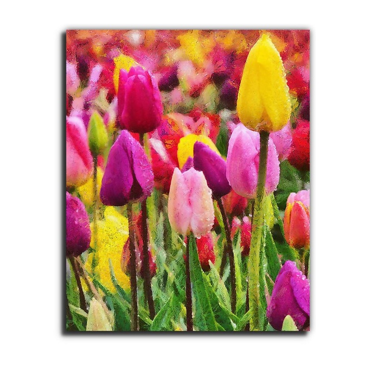 Tulipán fesztivál Woodburnben - átdolgozás, vászonkép, 120x145