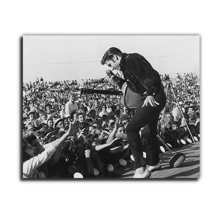 Elvis Presley koncerten, vászonkép, 80x65