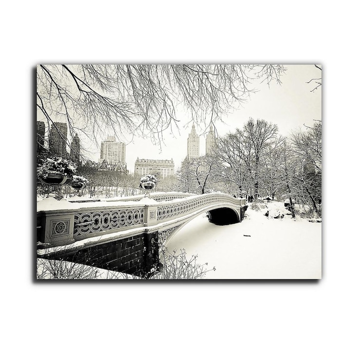 Bow híd, Central Park, New York, vászonkép, 65x50