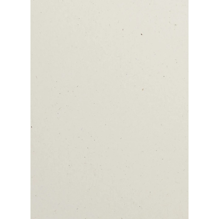 Set Hartie decorativa ecologic, Netuno, Flora, 240g, A4, 210x297 mm, Ecru, 10 buc