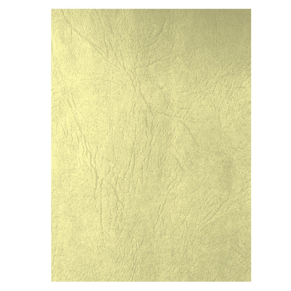 Coperta carton imitatie piele set 100 ECADA C