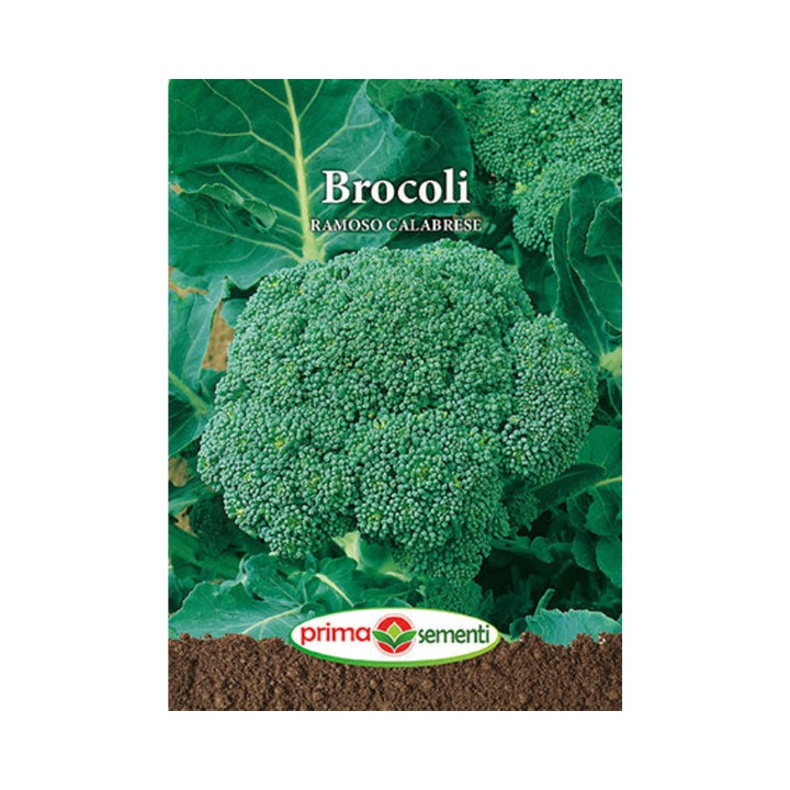 Seminte Brocoli Ramoso Calabrese