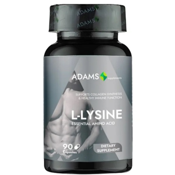 L-Lysine 500mg, 90 capsule, DAsiNU