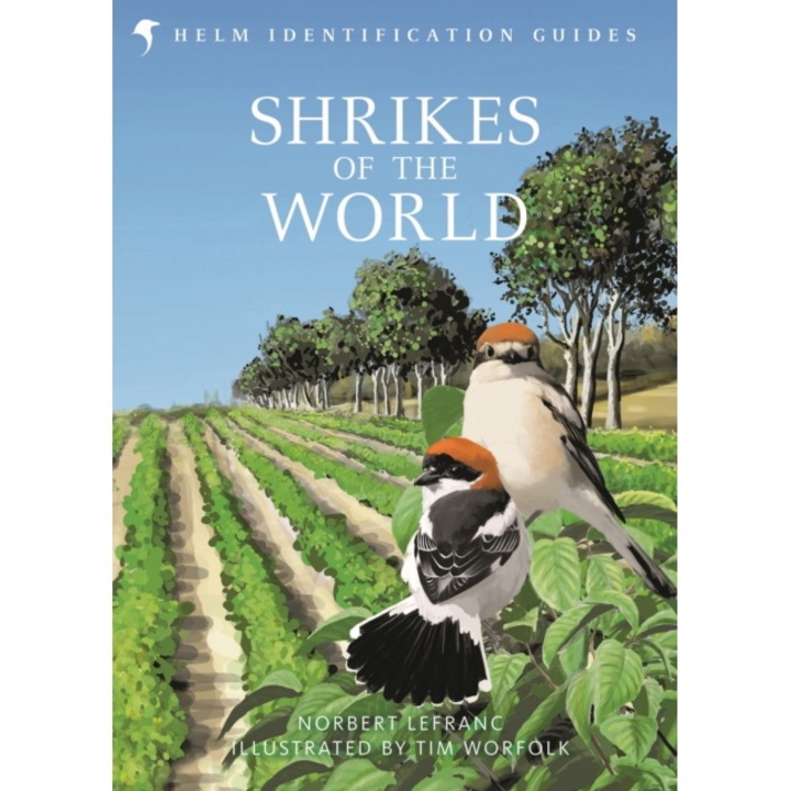 Shrikes Of The World - Norbert Lefranc