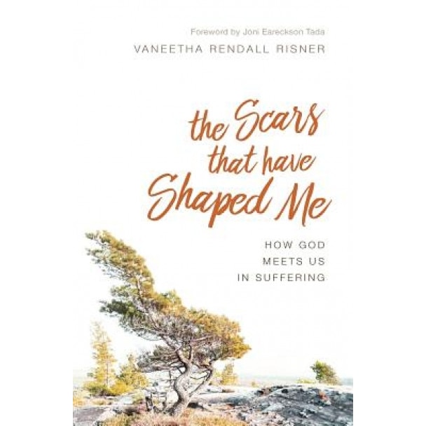 The Scars That Have Shaped Me: How God Meets Us in Suffering, Vaneetha Rendall Risner (Author)