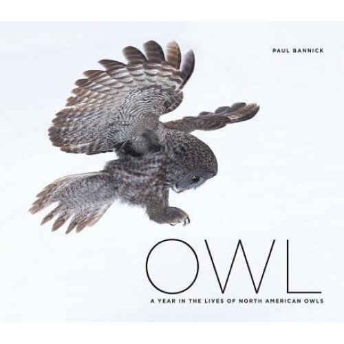 Owl: A Year in the Life of North American Owls, Paul Bannick (Author)