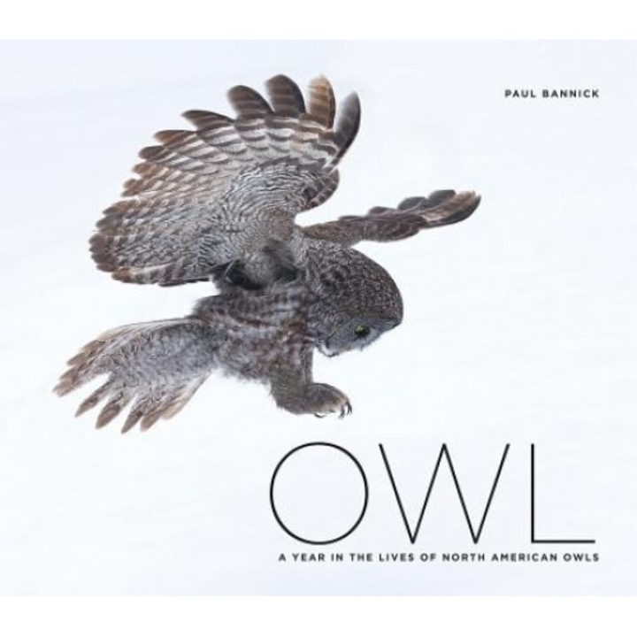 Owl: A Year in the Life of North American Owls, Paul Bannick (Author)