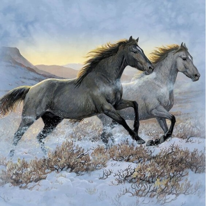 Kit pictura cu diamante, Norimpex, cai negri si albi, 30x40cm, multicolor