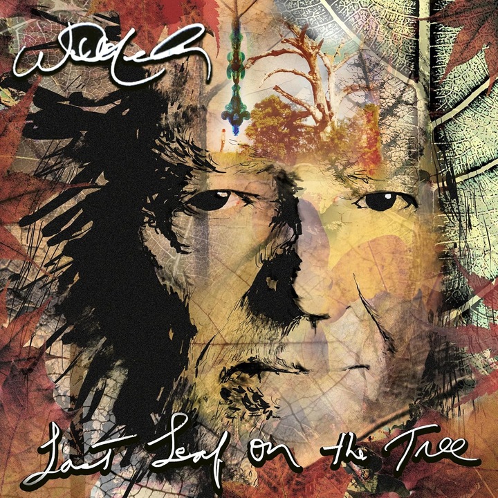 Willie Nelson - Last Leaf On The Tree - 2LP