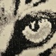 Килим Decorino C-020182, полипропилен, Животински принт, 120x170 cm