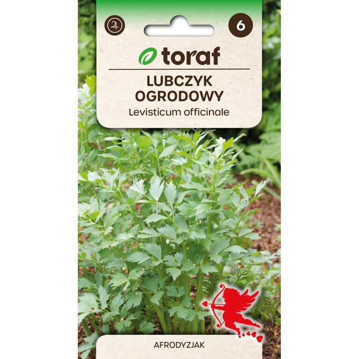 Seminte de gradina, Seminte Lovage seeds, 1g, TORAF, plante perene, beneficii digestive, soare, calitate superioara, seminte premium, seminte de top