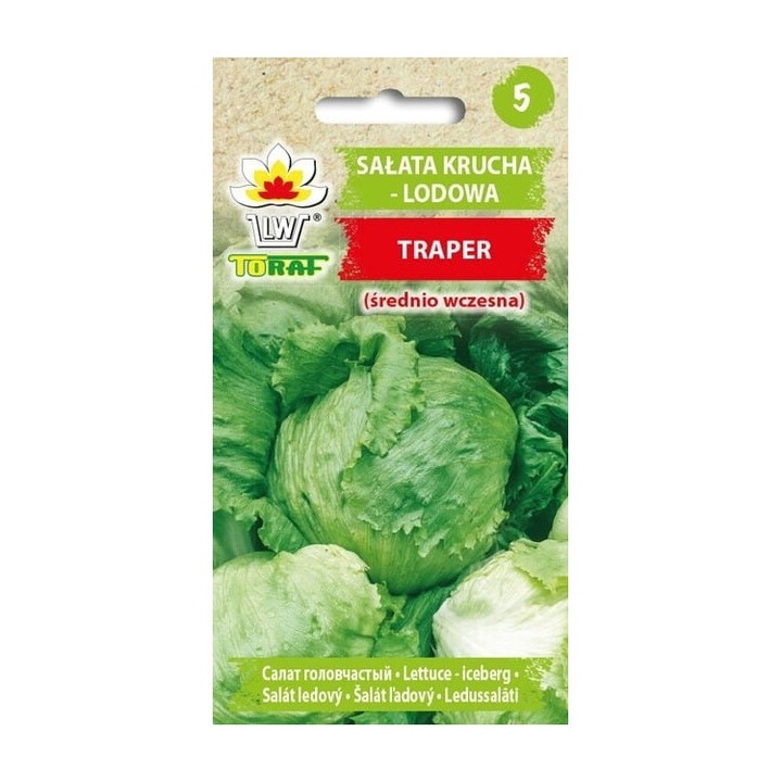 Seminte de gradina, Seminte Salata Krucha Lodowa, Toraf, 1 g, calitate superioara, seminte premium, seminte de top