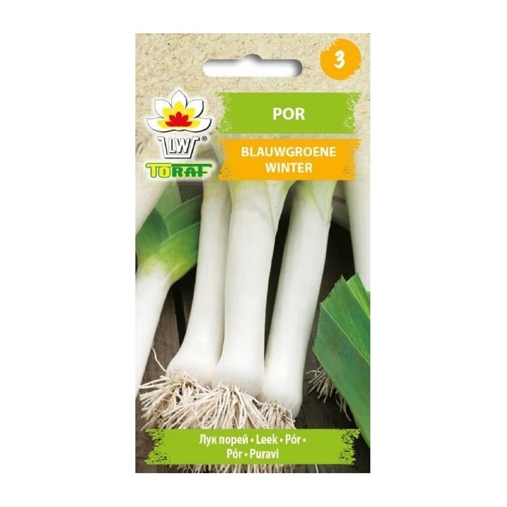 Seminte de gradina, Seminte de praz, Toraf, 1g, rezistenta la inghet, frunze albastru-verde, tulpina alba, calitate superioara, seminte premium, seminte de top