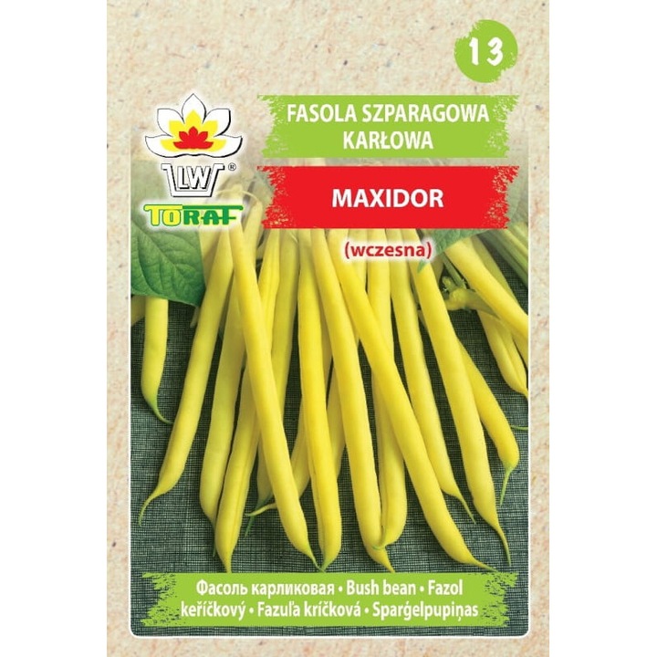 Seminte de gradina, Seminte fasole Maxidor, TORAF, rezistenta la antracnoza, pastaie fara fibre, 30g, calitate superioara, seminte premium, seminte de top