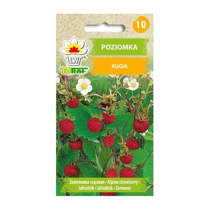 Seminte de gradina, Seminte capsuni salbatice Poziomka Rugia, TORAF, 0,3g, rezistente la inghet, fructe alungite, rosu, planta fructifera, calitate superioara, seminte premium, seminte de top