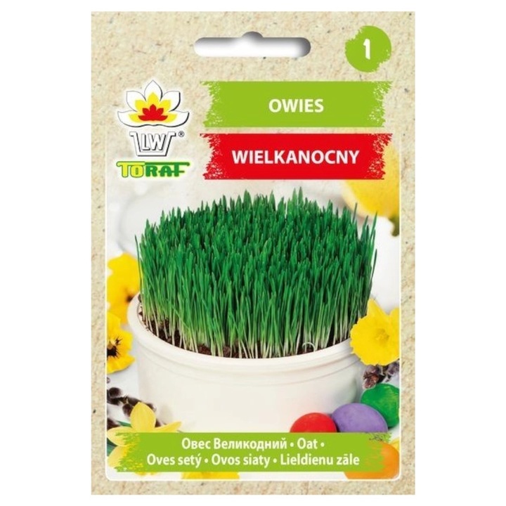 Seminte de gradina, Seminte Owies Wielkanocny 30g, Toraf, germinare rapida, calitate superioara, seminte premium, seminte de top