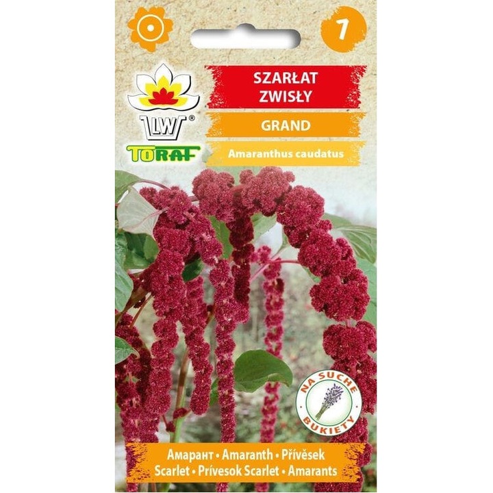 Seminte de gradina, Grand pink amaranth, Toraf, flori amarant, inaltime 150-200 cm, 1 g, inaltime mare, calitate superioara, seminte premium, seminte de top
