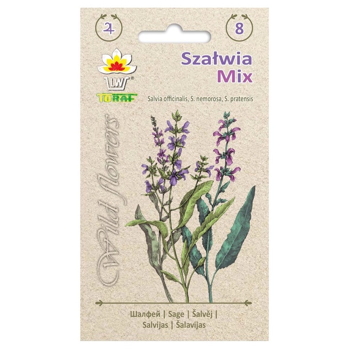 Seminte de gradina, Amestec seminte de salvie Toraf, 0.5g, calitate superioara, seminte premium, seminte de top