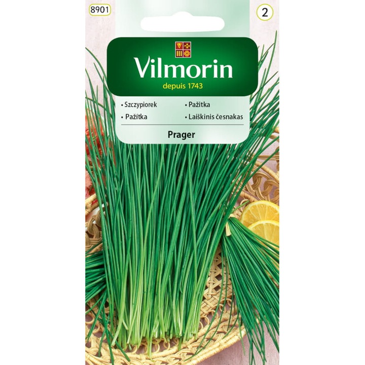 Seminte de gradina, Seminte arpagic, Vilmorin, 2 g, calitate superioara, seminte premium, seminte de top