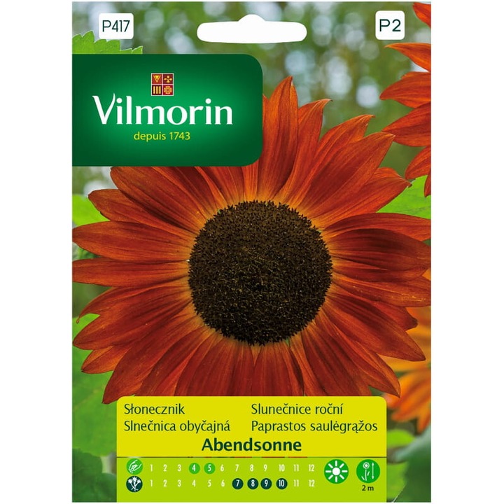 Abendsonne Napraforgó mag, Vilmorin, 0,5 g, narancs/piros