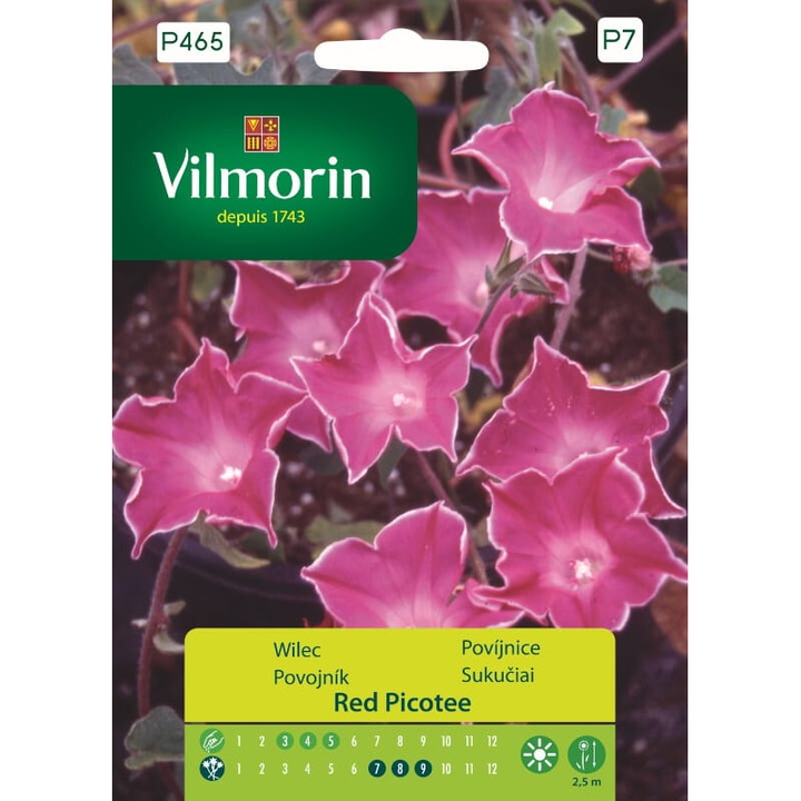 Seminte de gradina, Seminte Wilec purpurowy Red Picotee, flori roz cu margini albe, 1g, calitate superioara, seminte premium, seminte de top