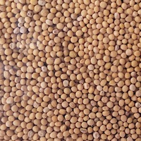 Seminte de gradina, Mustar alb FEED 1kg - GRANUM, calitate superioara, seminte premium, seminte de top