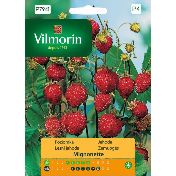Seminte de gradina, Seminte capsuni salbatice Poziomka Mignonette, Vilmorin, 0,1g, rezistente la inghet, usor de cultivat, calitate superioara, seminte premium, seminte de top