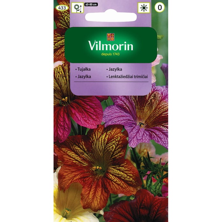 Seminte de gradina, Seminte Thuja Variable Bolero, Vilmorin, amestec 0.5g, flori colorate, 80cm, calitate superioara, seminte premium, seminte de top