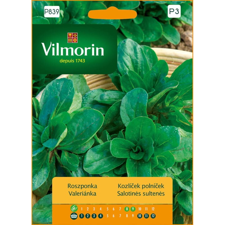 Seminte de gradina, Seminte Salata, Vilmorin, 0.5 g, verde, calitate superioara, seminte premium, seminte de top