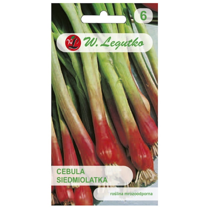 Seminte de gradina, Seminte Ceapa rosie, Legutko, 2 g, calitate superioara, seminte premium, seminte de top
