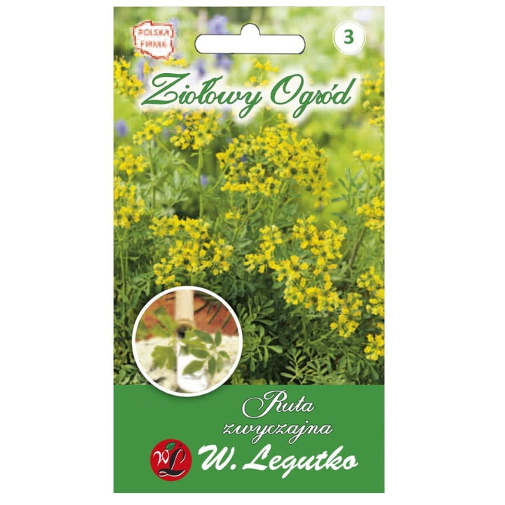 Seminte de gradina, Seminte Ruta Graveolens, W. Legutko, 0,3g, inaltime 40-60 cm, distanta 30x40 cm, inaltime mare, calitate superioara, seminte premium, seminte de top