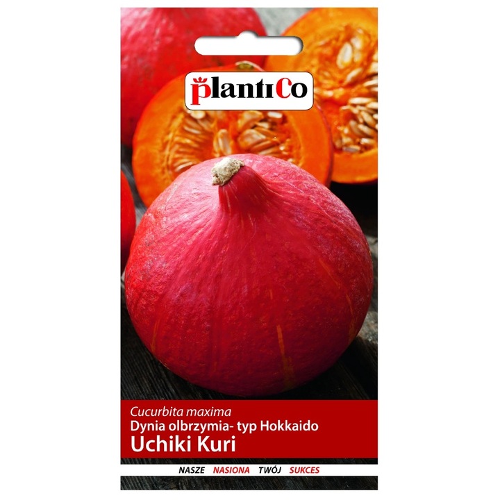 Seminte de gradina, Seminte dovleac Kuri, Plantico, 3 g, Rosu, calitate superioara, seminte premium, seminte de top