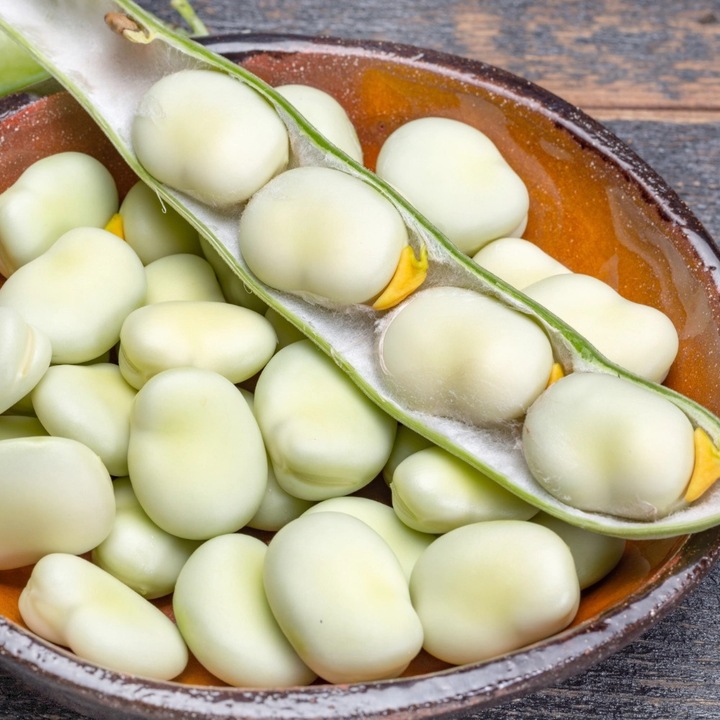 Seminte de gradina, Seminte PlantiCo Bob Bachus BIALY, foarte roditor, boabe mari, 1000g, calitate superioara, seminte premium, seminte de top