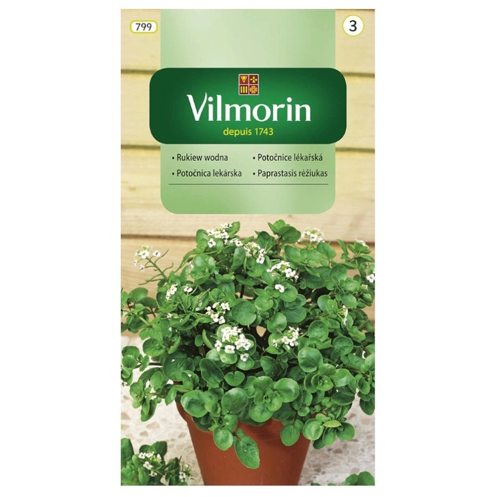 Seminte de gradina, Seminte Watercress, Vilmorin, Verde, 0.5 g, calitate superioara, seminte premium, seminte de top