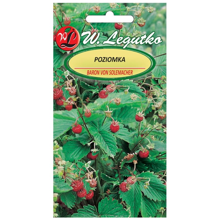 Seminte de gradina, Seminte capsuni, Legutko, 0.2g, rosu, calitate superioara, seminte premium, seminte de top