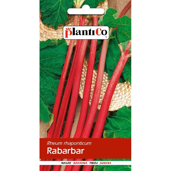 Seminte de gradina, Seminte Rubarba, Plantico, rosu, 0.5g, calitate superioara, seminte premium, seminte de top